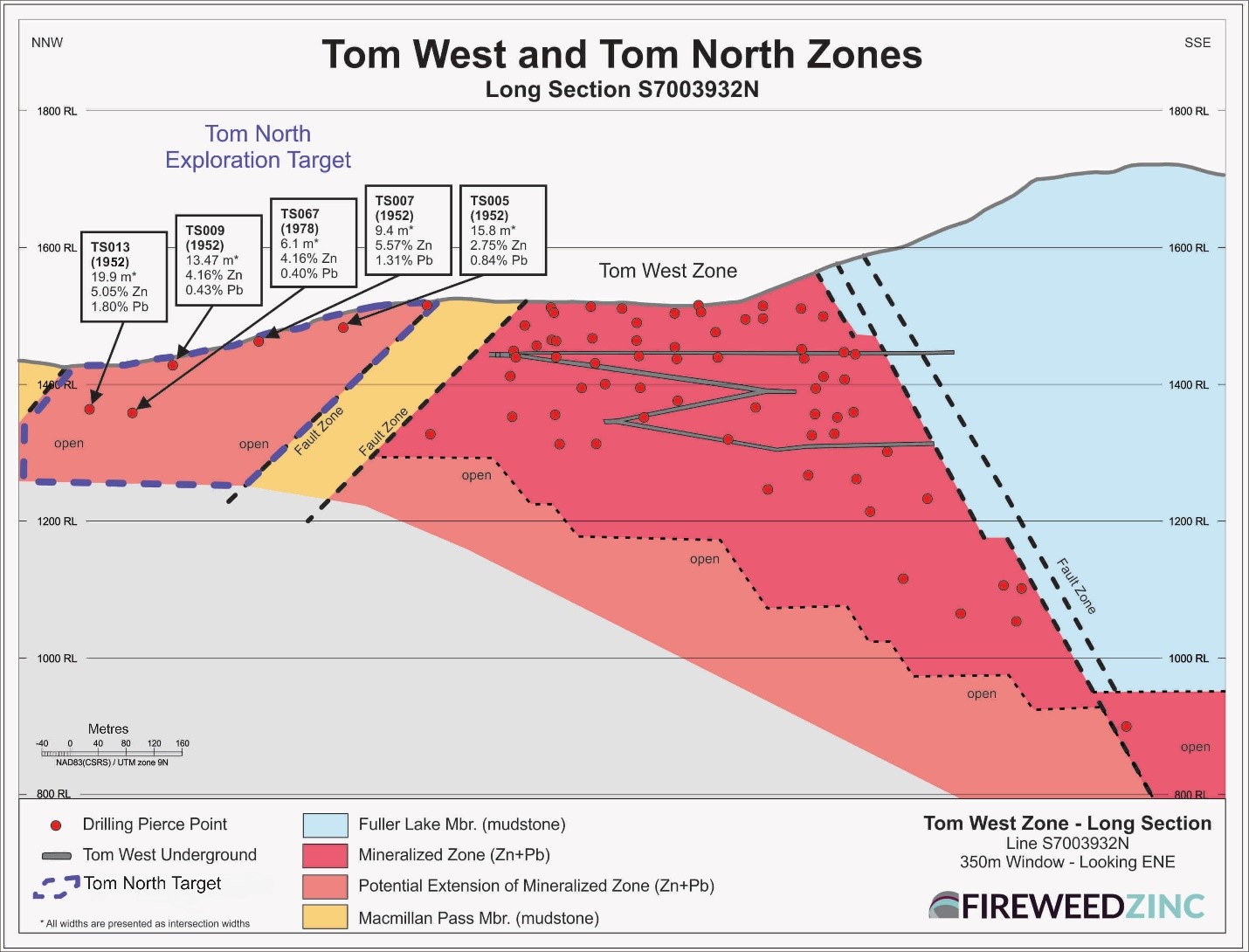 FIGURE 4: TOM NORTH TARGET WITH HISTORIC DRILL RESULTS