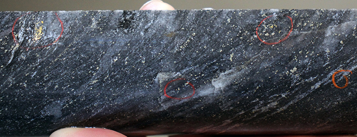 Image of gold mineralization from LP Fault drill hole BR-118. Mineralization depicted in this image is from a selective interval and is not necessarily indicative of mineralization on the property.