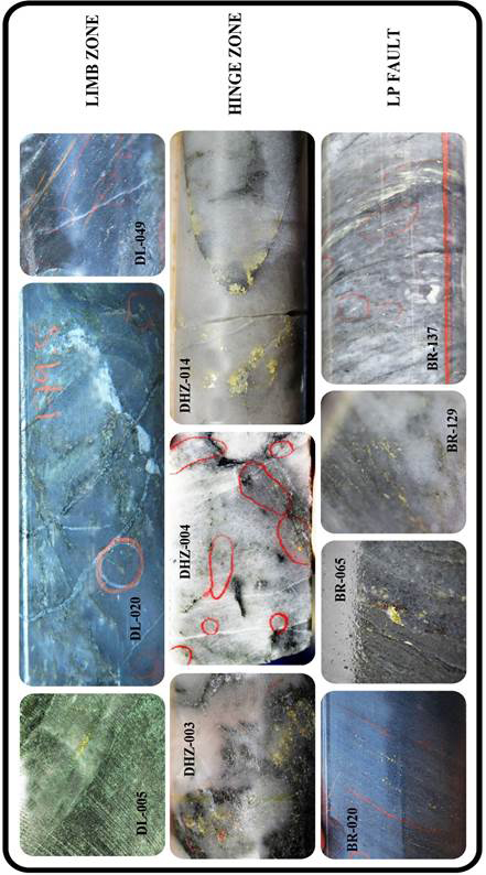 Examples of free gold in drill core from the Dixie Limb, Hinge and LP Fault zones. This is the dominant format of gold mineralization within these gold zones. Images are of selected core intervals and do not represent all of the gold mineralization at Dixie.