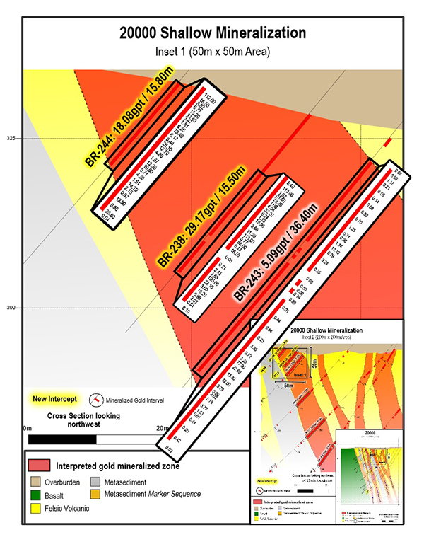 Near-surface gold results on drill section 20000. All individual assays are shown. 50 x 50 m view.